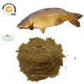 High Protein Fish Meal Superb Quality